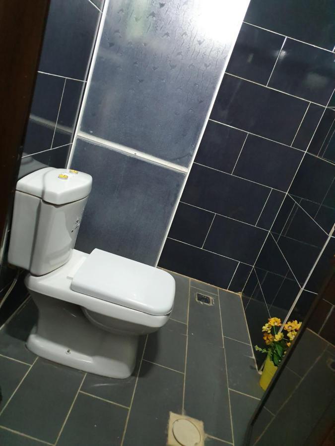 New Luxurious Modern Studio Daire Ceraş Dış mekan fotoğraf