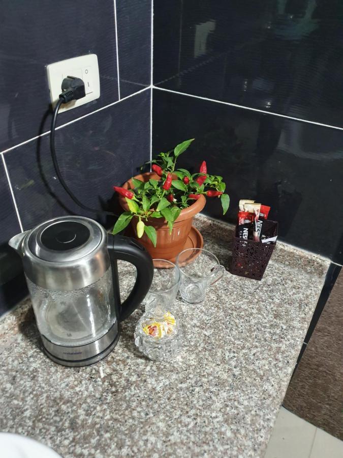 New Luxurious Modern Studio Daire Ceraş Dış mekan fotoğraf