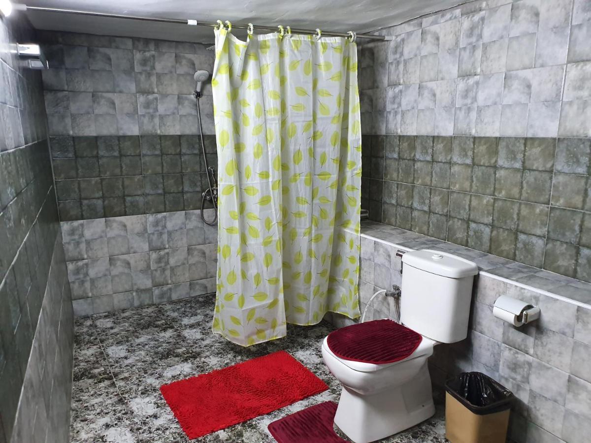 New Luxurious Modern Studio Daire Ceraş Dış mekan fotoğraf